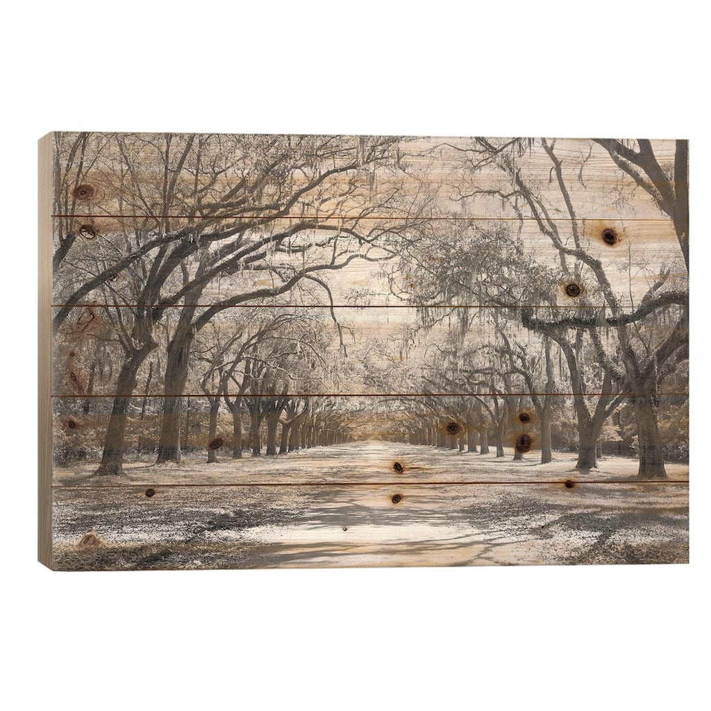 Live Oaks And Spanish Moss Wormsloe State Historic Site Savannah, Georgia (Black And White) I Print On Wood by Panoramic Images