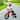 12 Inch Toddler Balance No Pedal Bicycle w/ Inflatable Rubber Tires