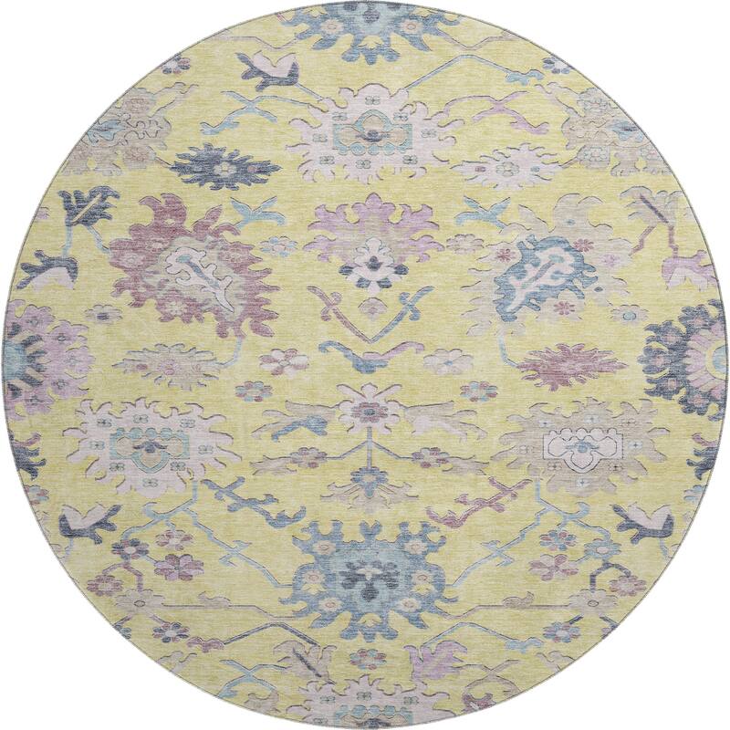 Premium Washable Super Soft Traditional Farmhouse Mayfield Rug
