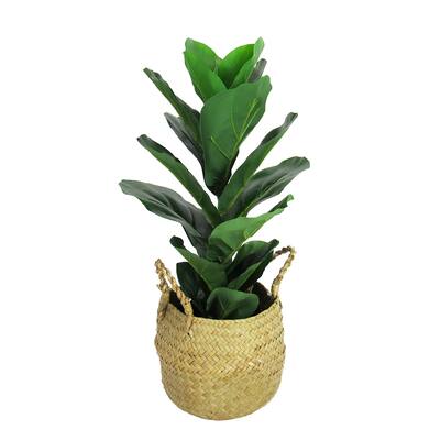 20in Real Touch Artificial Fiddle Leaf Fig Tree Plant in Straw Basket - 20" H x 8" D