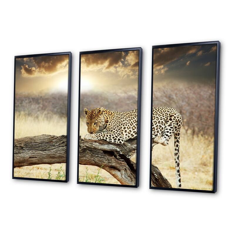 Designart "Leopard Relaxing on Tree" Animal Framed Wall Decor Set of 3
