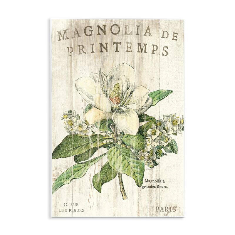 Stupell French Magnolias In Spring Wall Plaque Art
