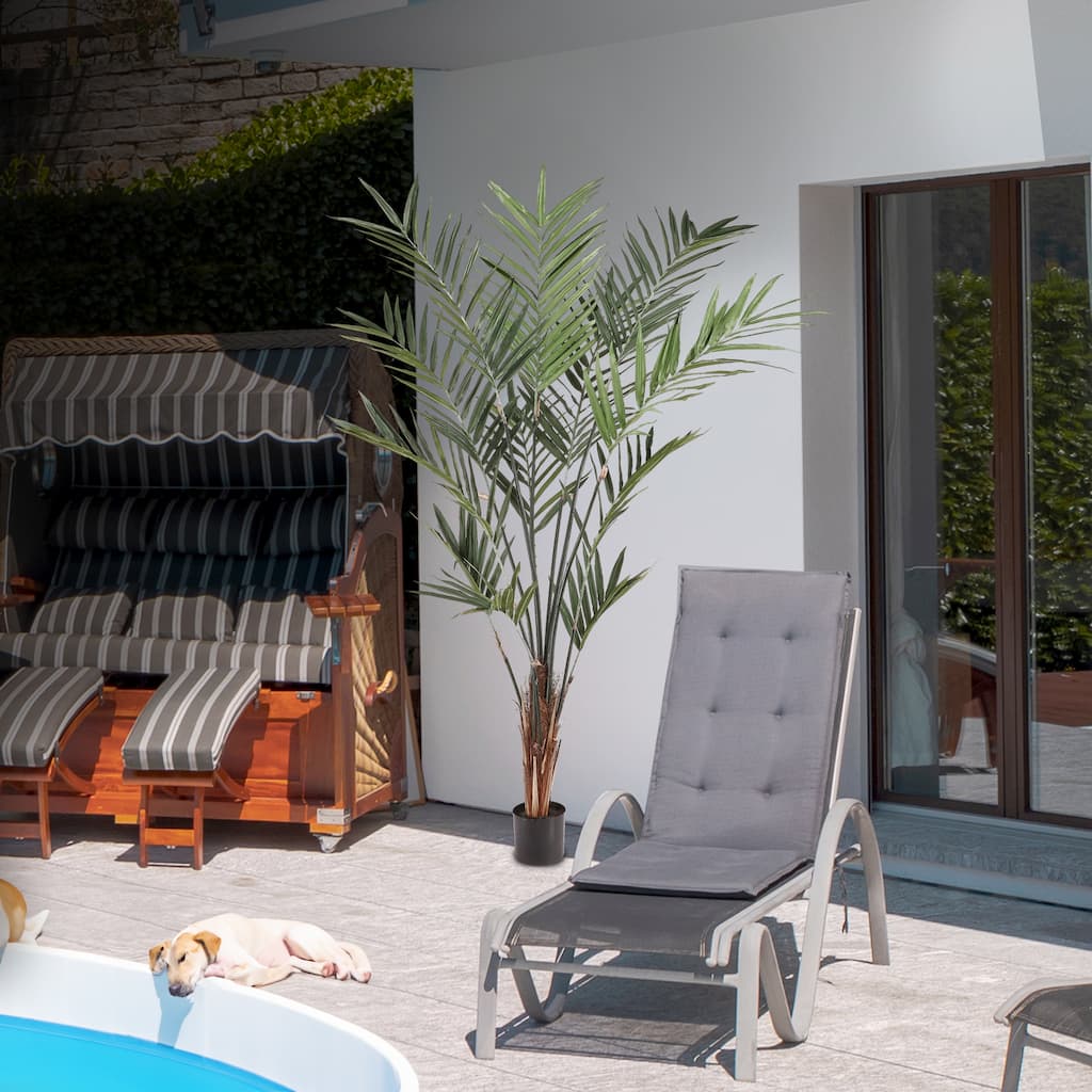 Potted Uv Treated Kentia Palm 7'