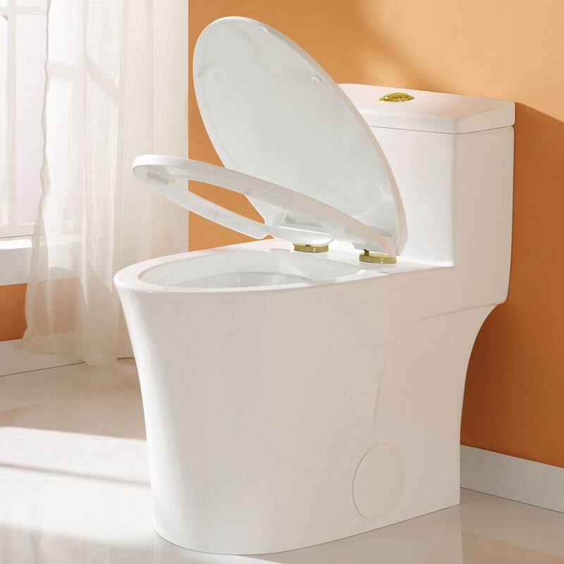HOROW One-Piece 0.8/1.28 GPF Dual Flush Elongated Toilet in White Seat Included and Brushed Gold Button - 12'' rough in