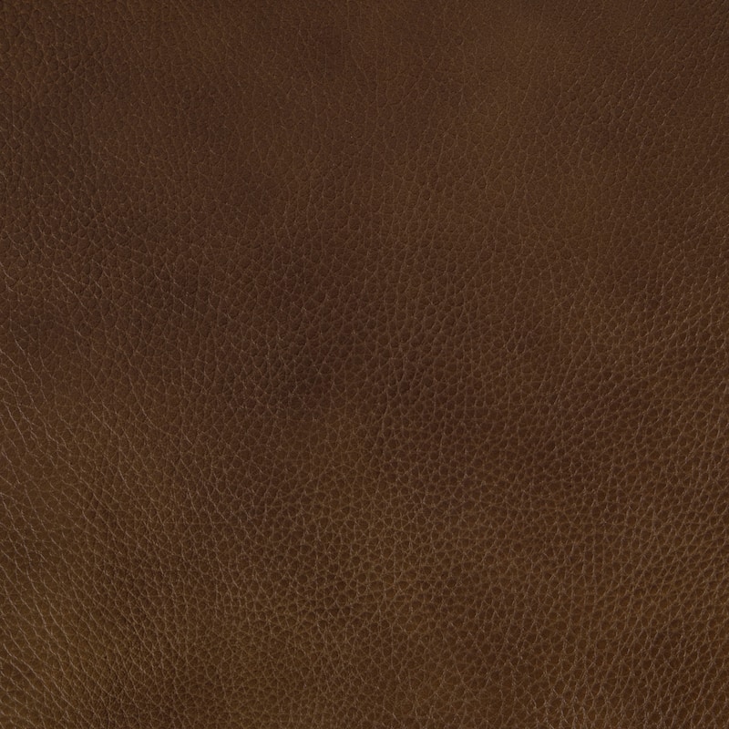 Raya Leather Upholstered Arm Accent Chair