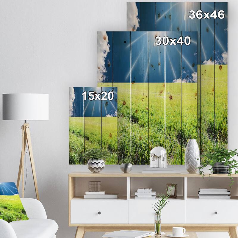 Designart 'Sunny Field With Green Grassland' Country Wood Wall Art
