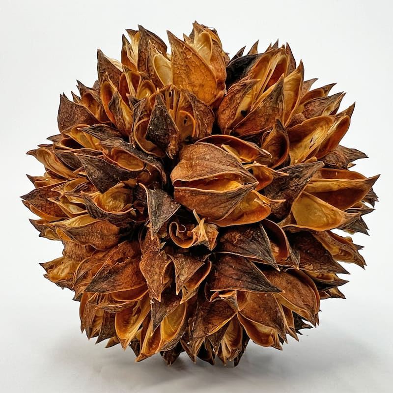 Handmade Natural & Preserved Topiary Balls Decorative Bowl Filler Orbs In Brown Botanical Accent Set Of 6 - 4x4x4 inch