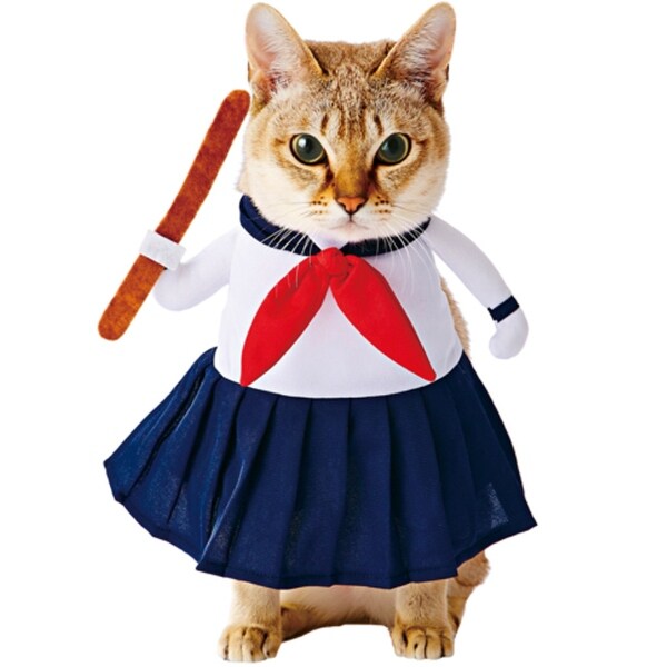 Cat boy outfit hot sale