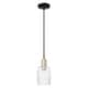 Option Clear / Black Antique Brass