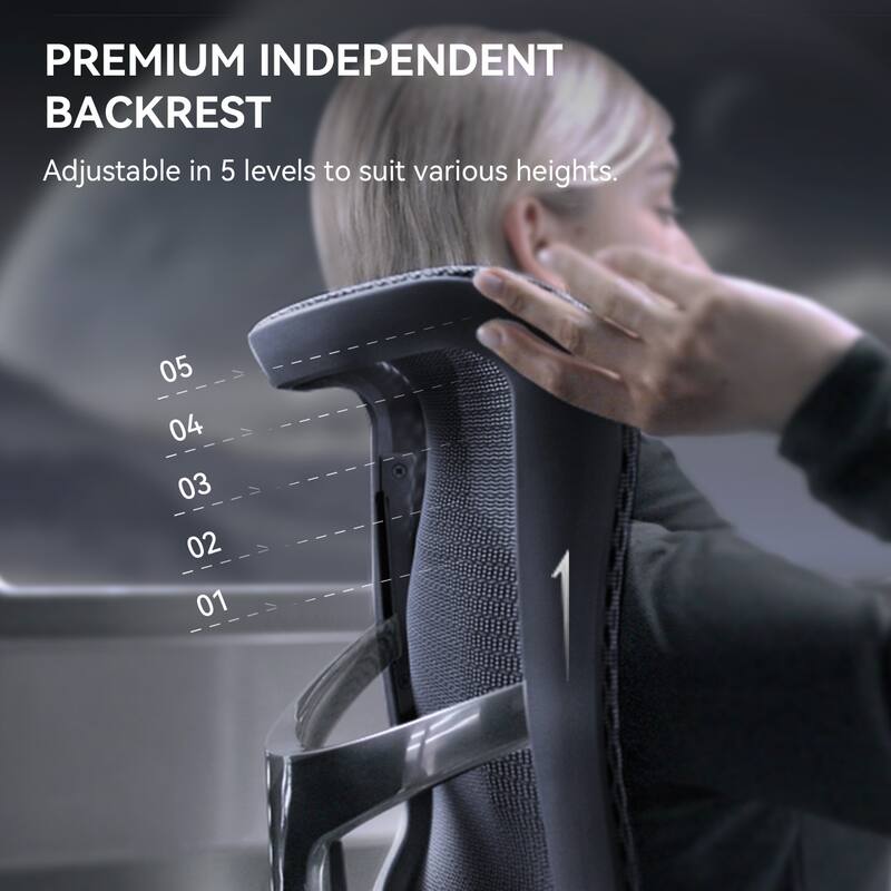 SIHOO Doro S300 Ergonomic Office Chair - Dual-layer Dynamic Lumbar Support - 78.5*70*125