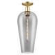 Option Champagne Bronze