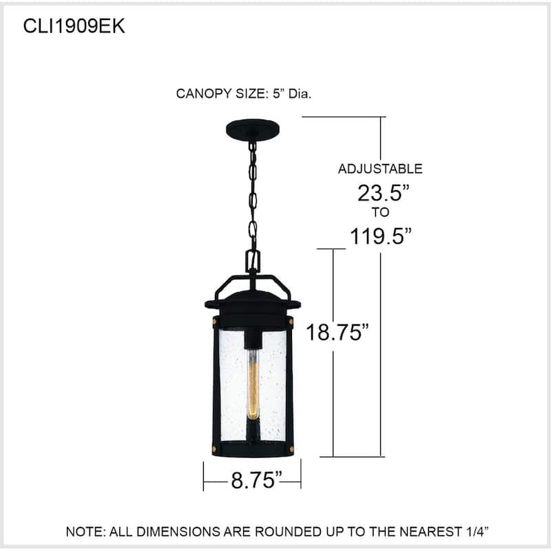 Clifton 1-Light Earth Black Outdoor Hanging Lantern