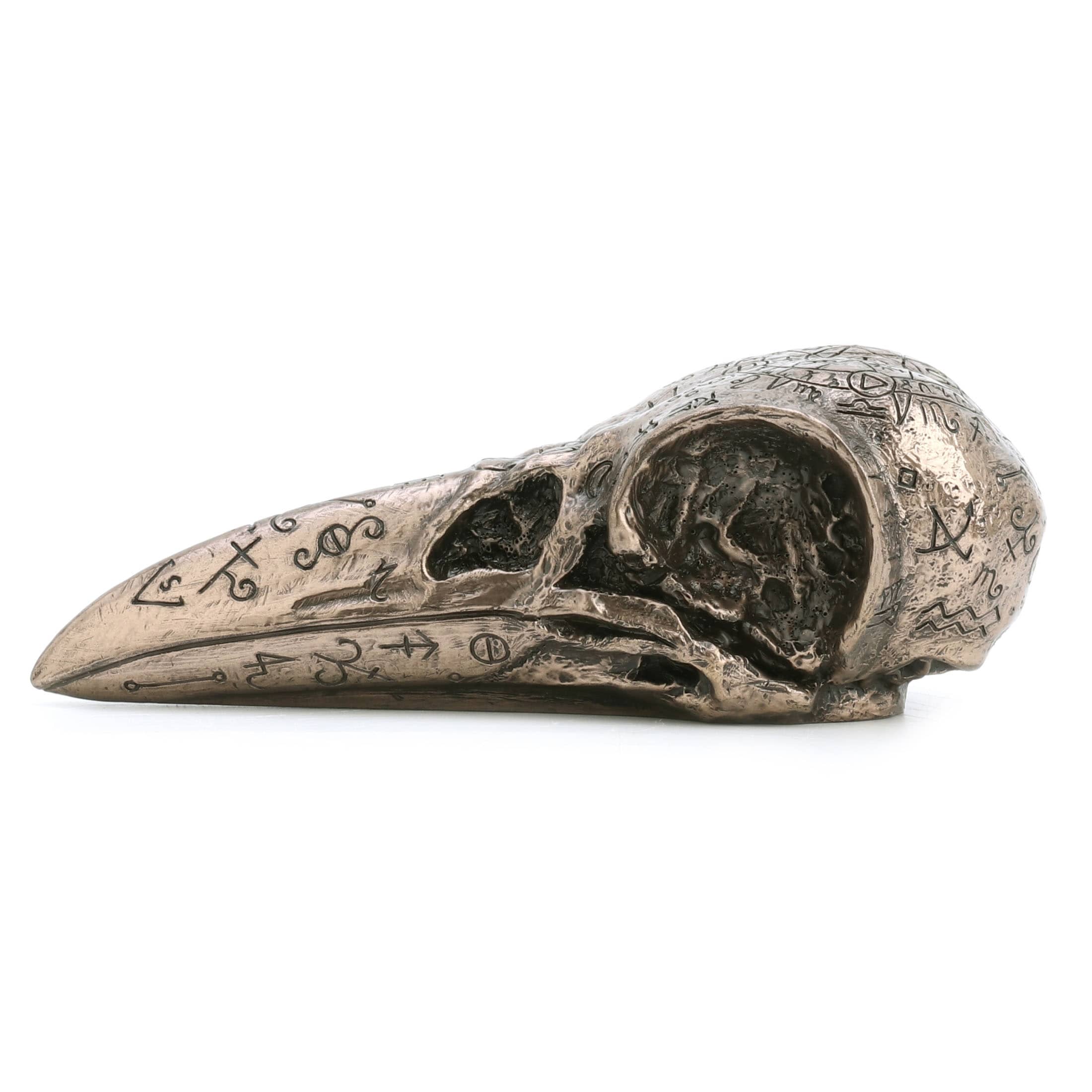 6.3 in L Raven Skull, Poly Resin