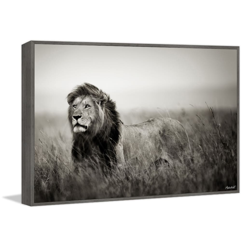 Be the Boss Floater Framed Print on Canvas