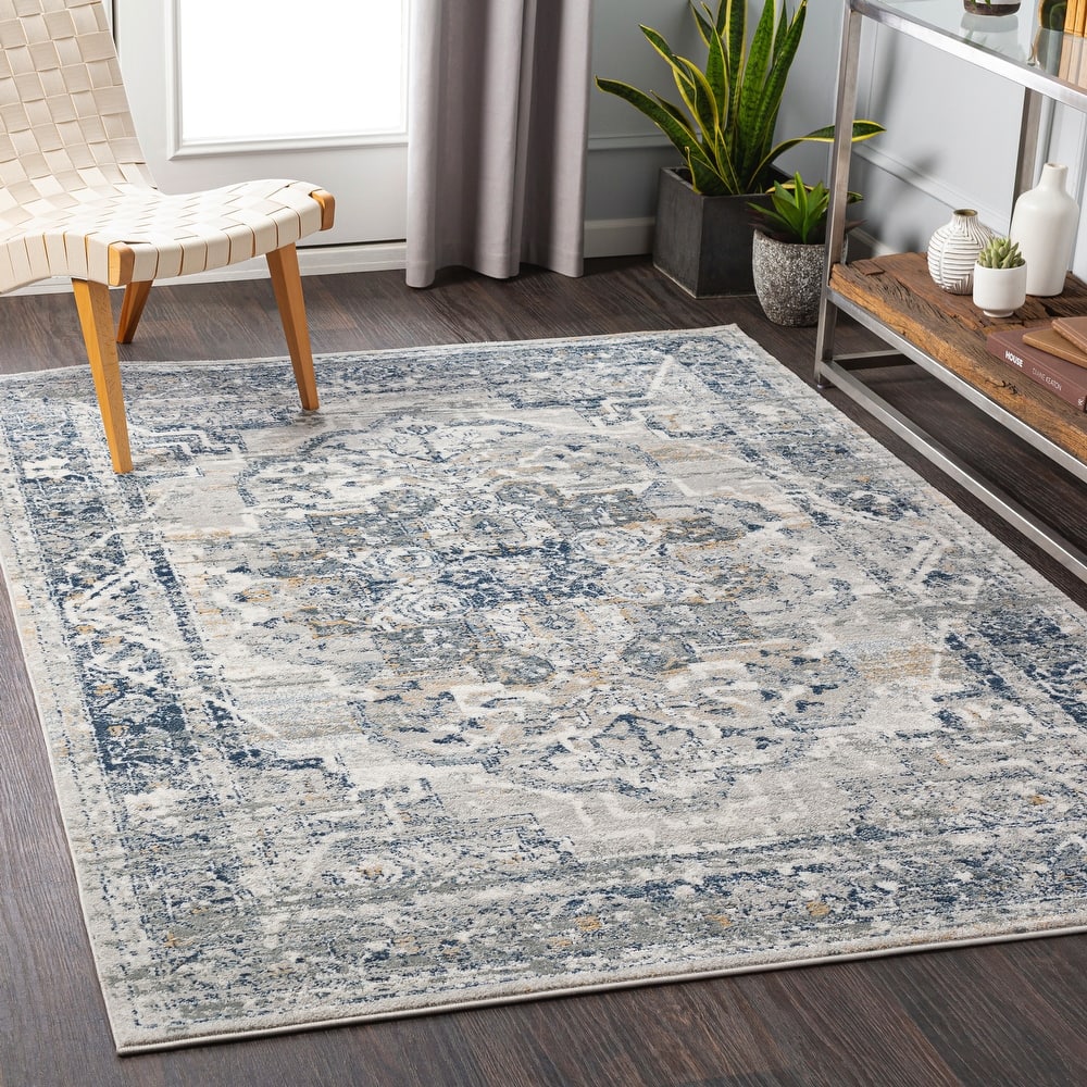 Livabliss Kredelle Faded Persian Medallion Area Rug