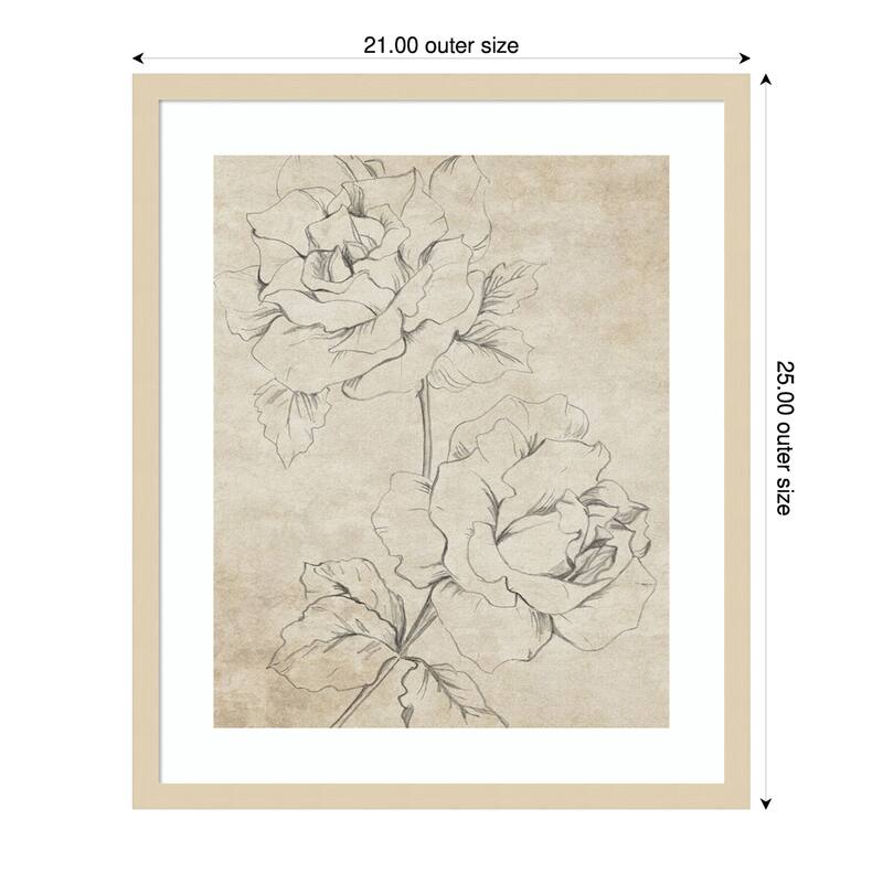 Rose Sketch Sepia by Patricia Pinto Wood Framed Wall Art Print - 21 x 25 in - Brown