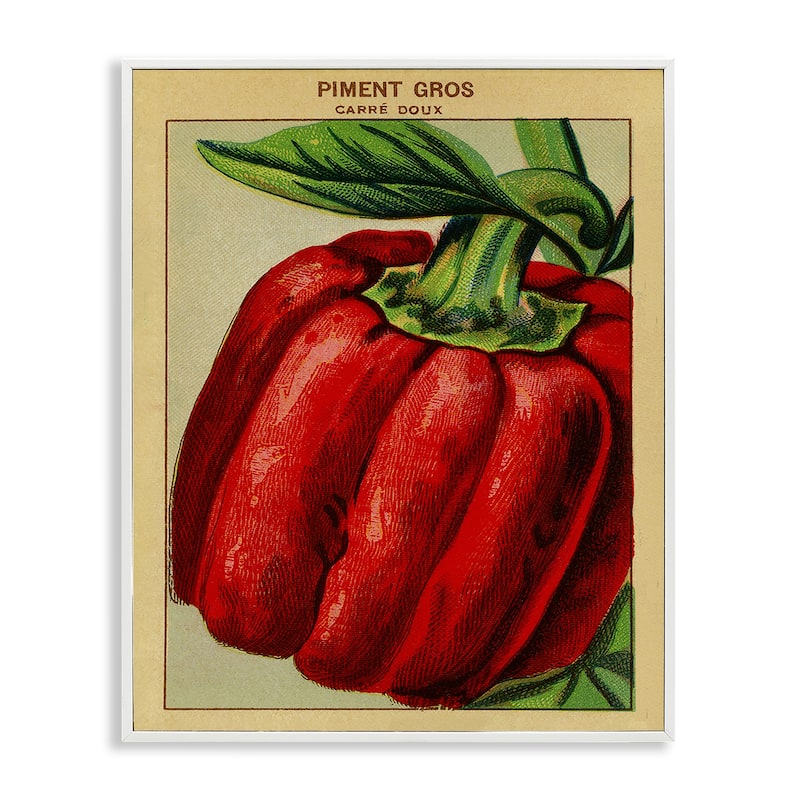 Stupell Country Vintage Pepper Framed Giclee Art Design By Lil' Rue - 16 x 20 - White