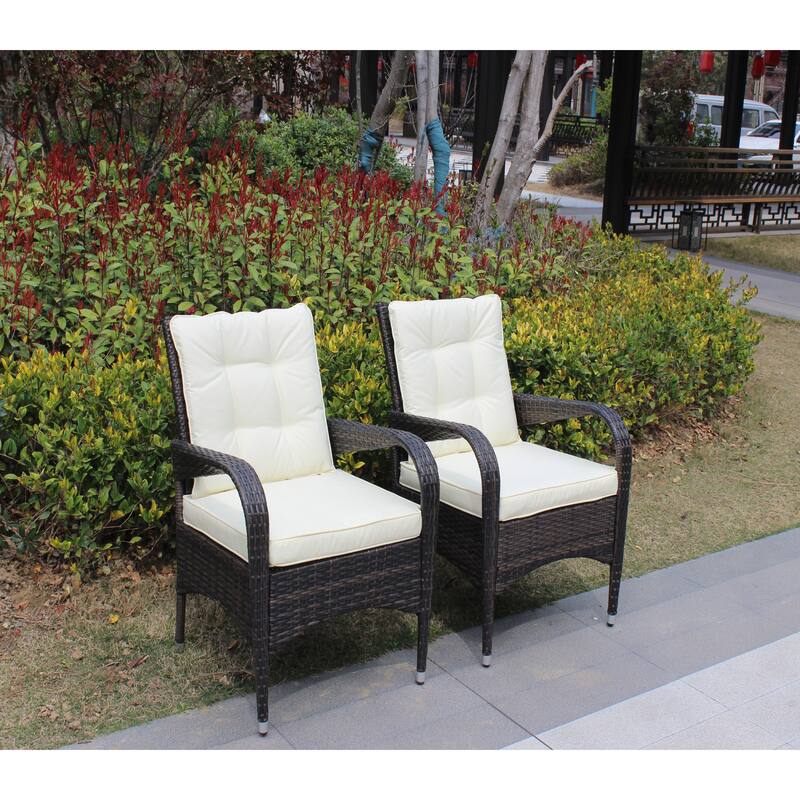 2-Piece Liberatore Dining Chairs with Cushions