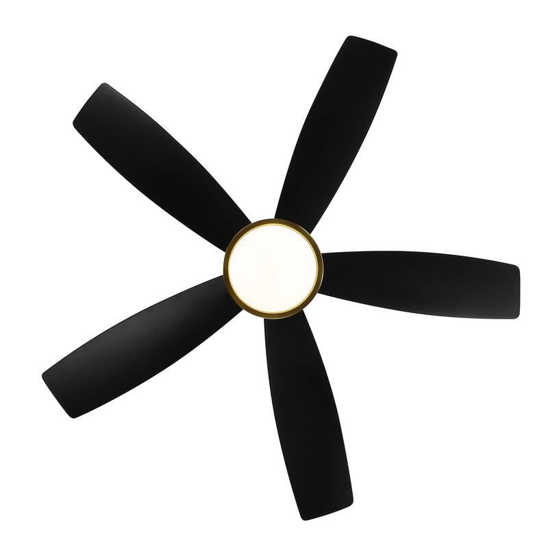 Breezary 65"/52"/42" 5-Blade LED Ceiling Fan with Light Kit and Remote