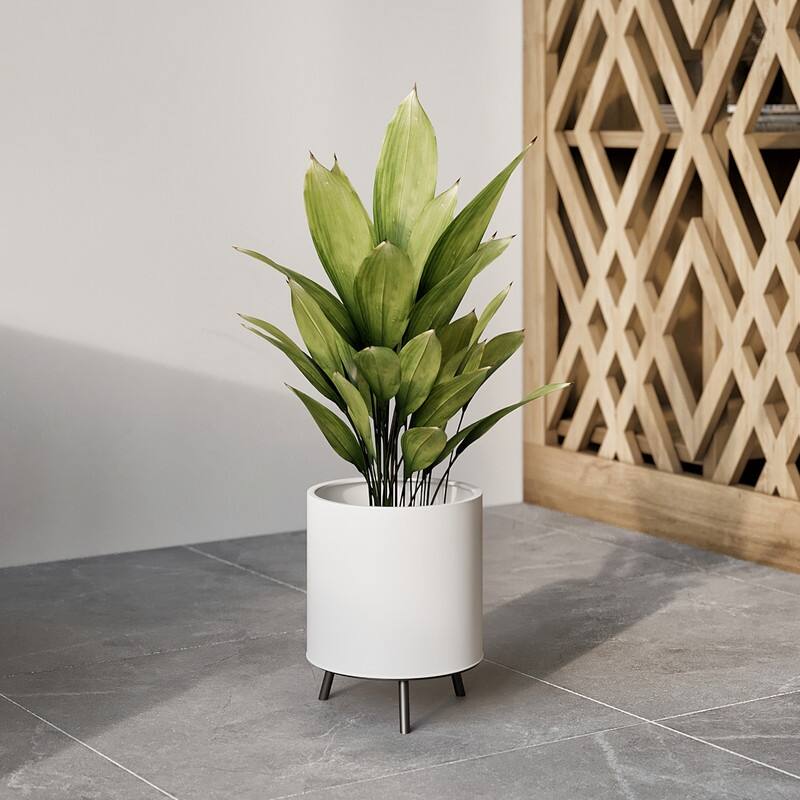 Raya White Mid-Century Modern Indoor Metal Pot Planter with 3-Leg Metal Base - 10.5" H  x 8" W - Black