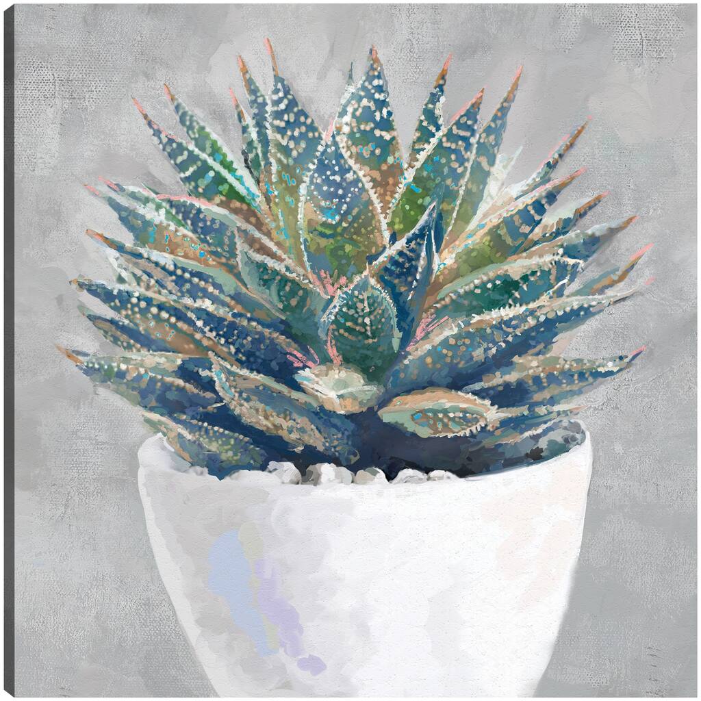 Potted Succulent I By Studio Arts Canvas Art Print