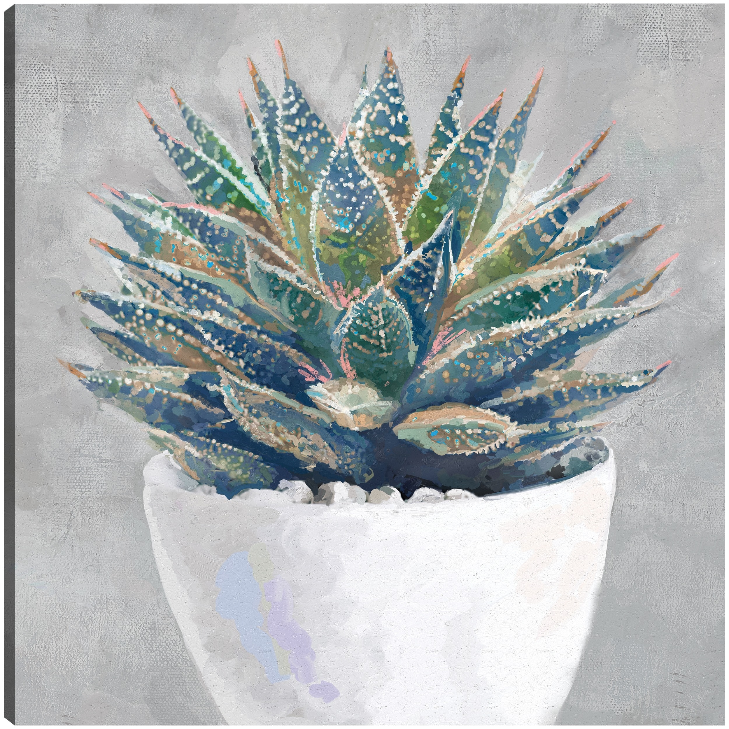 Potted Succulent I By Studio Arts Canvas Art Print