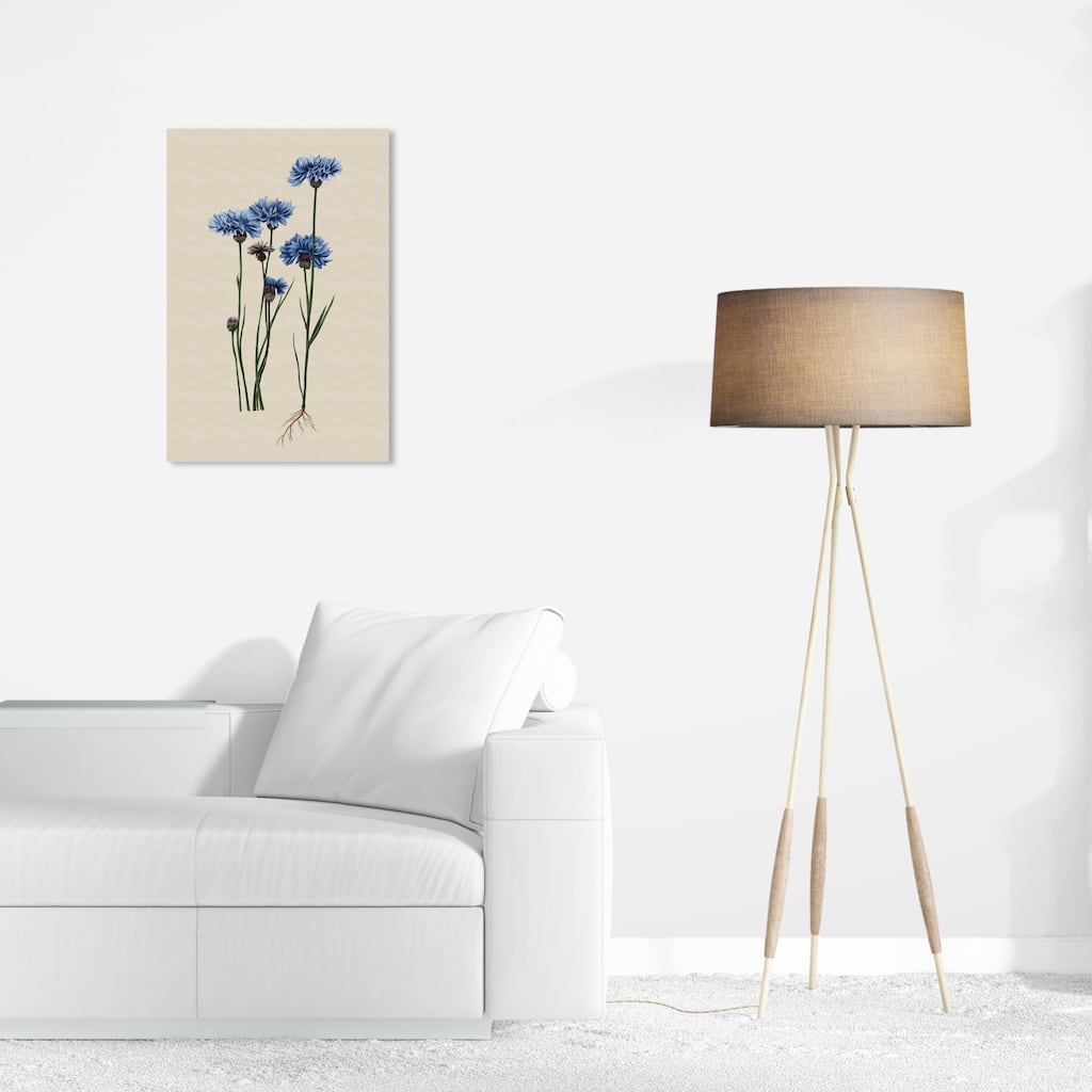 Wynwood Studio Canvas Floral and Botanical Flower Illustration Blue and Farmhouse Wall Art Canvas Print