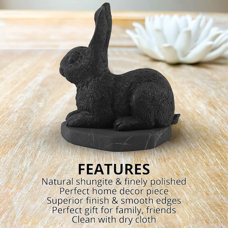 Karelian Shungite Figurine Elegant Home Indoor Decorative Mothers Day