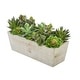 preview thumbnail 9 of 10, Faux Succulent Garden in Wood Washed Ledge Planter
