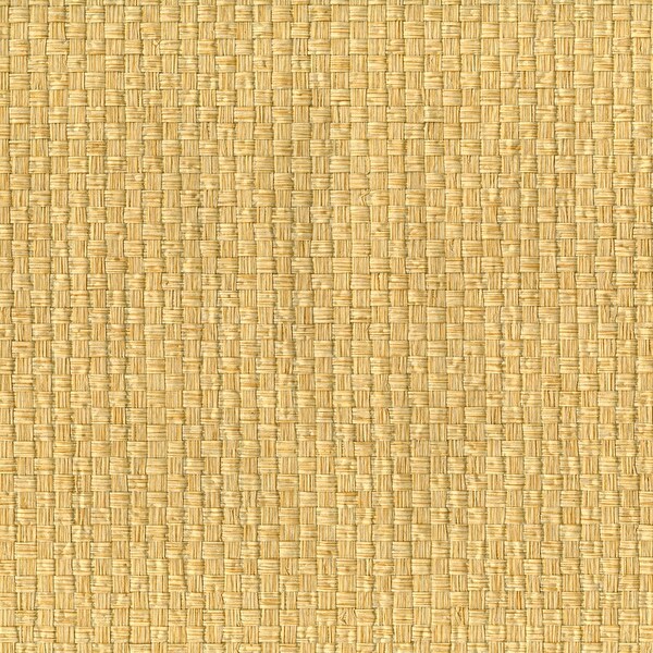 3 day cruise from mobile