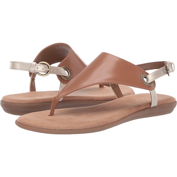 aerosoles women's in conchlusion flat sandal
