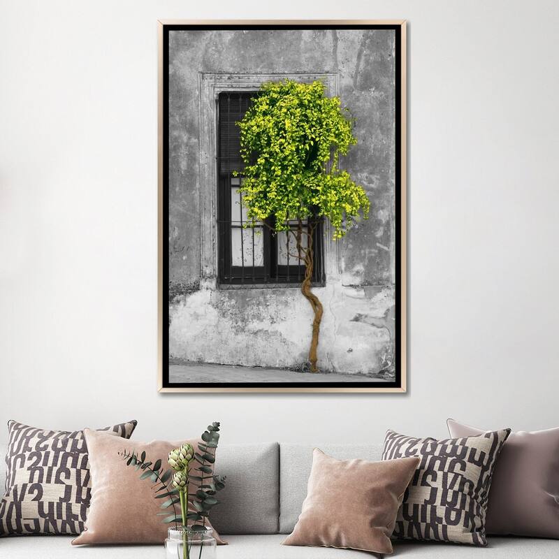 Large Wall Art, Framed Art, Modern Art, Plants, Botanical, by Panoramic Images