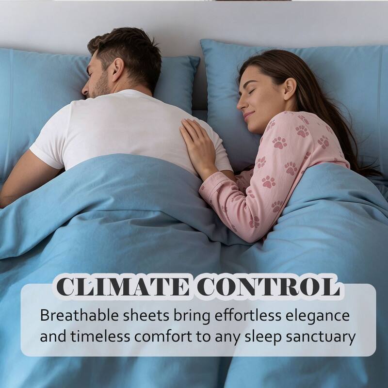 Superior Egyptian Cotton 650 TC Embroidered Pillow Cases, Set of 2