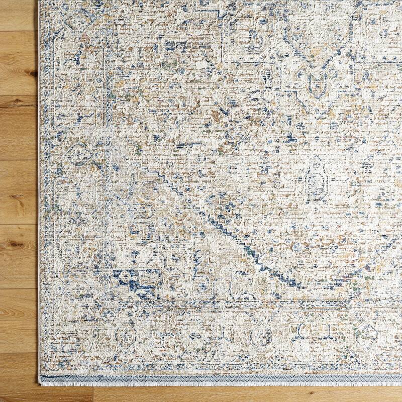 Livabliss Rivaldo Traditional Distressed Medallion Area Rug