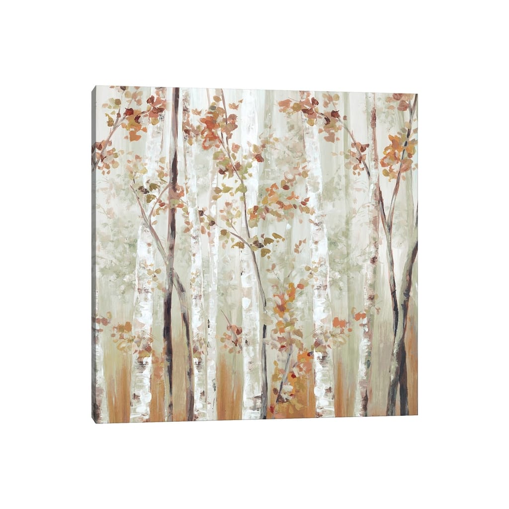 iCanvas "Birch Wood III" by Eva Watts Canvas Print
