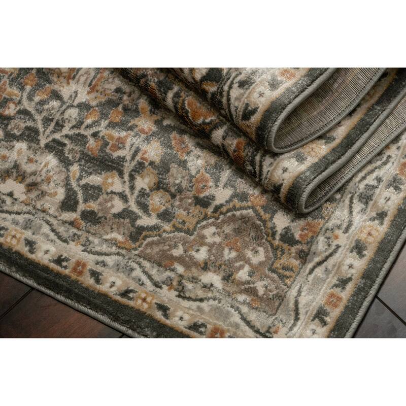 Dynamic Rugs Charlotte Traditional Area Rug