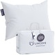 preview thumbnail 1 of 7, 100% Down Recreation Pillow - Ultimate Natural Softness - 600 Fill Power