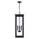 preview thumbnail 4 of 8, 11" W x 28.5" H 4-Light Outdoor Rectangular Hanging Lantern with Clear Glass - 11"W x 28.5"H