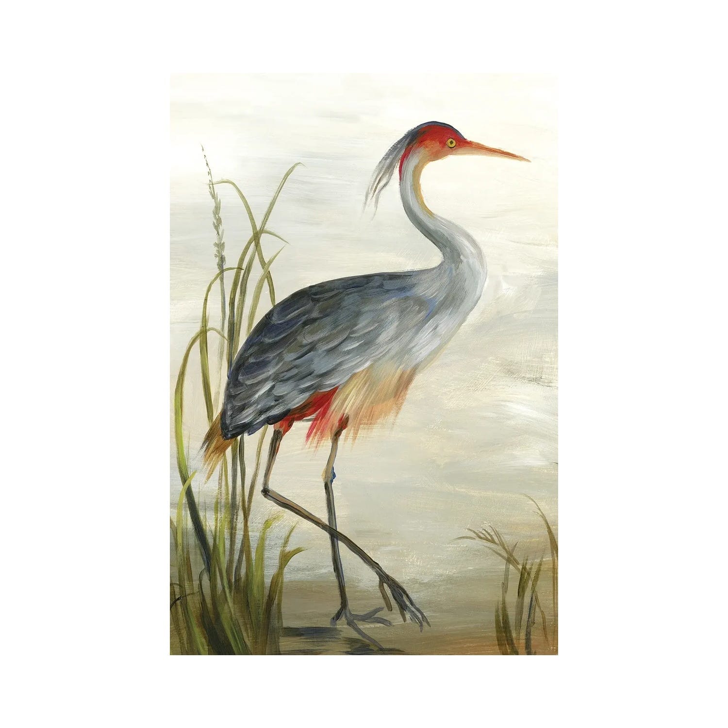 "Grey Heron" by Aimee Wilson Canvas Print