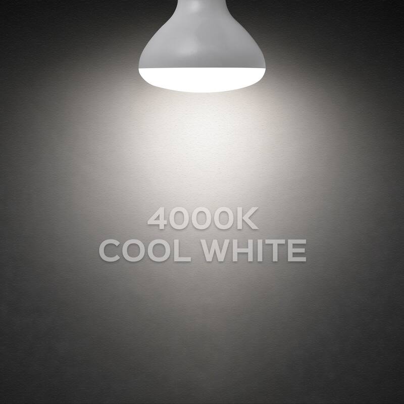 Luxrite BR30 LED Flood Light Bulb Dimmable 650 Lumens 9W=65W E26 Base Energy Star UL Listed Damp Rated 12-Pack