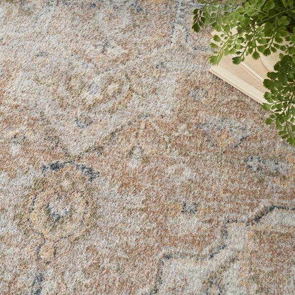 Nourison Astra Machine Washable Distressed Area Rug