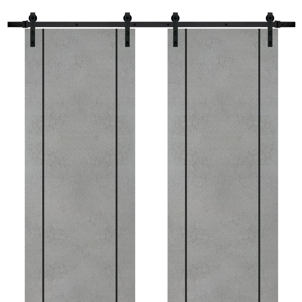 Sturdy Double Barn Door 36 x 80 with Planum 0016 Concrete with 13FT