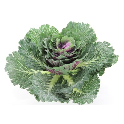 12"H Artificial Cabbage Home Kitchen Decoration, Green