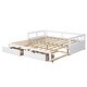 preview thumbnail 6 of 14, Twin to King Extendable Wooden Daybed with Trundle and Dual Storage Drawers, Solid Wood Frame