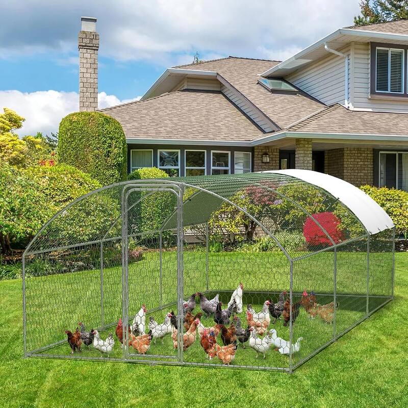 Large Walk-in Chicken Runs with Cover