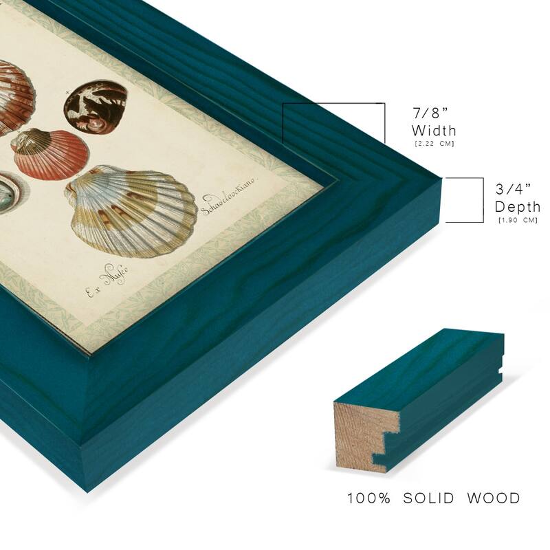 Bookplate Shells III -Framed Print w/glass-Cherry Red