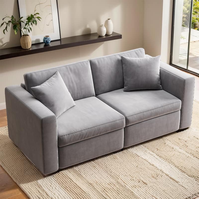 Pocassy Cloud Sofa Modular Sectional Couch with Seat Storage - 2-Seat without Ottoman - Grey