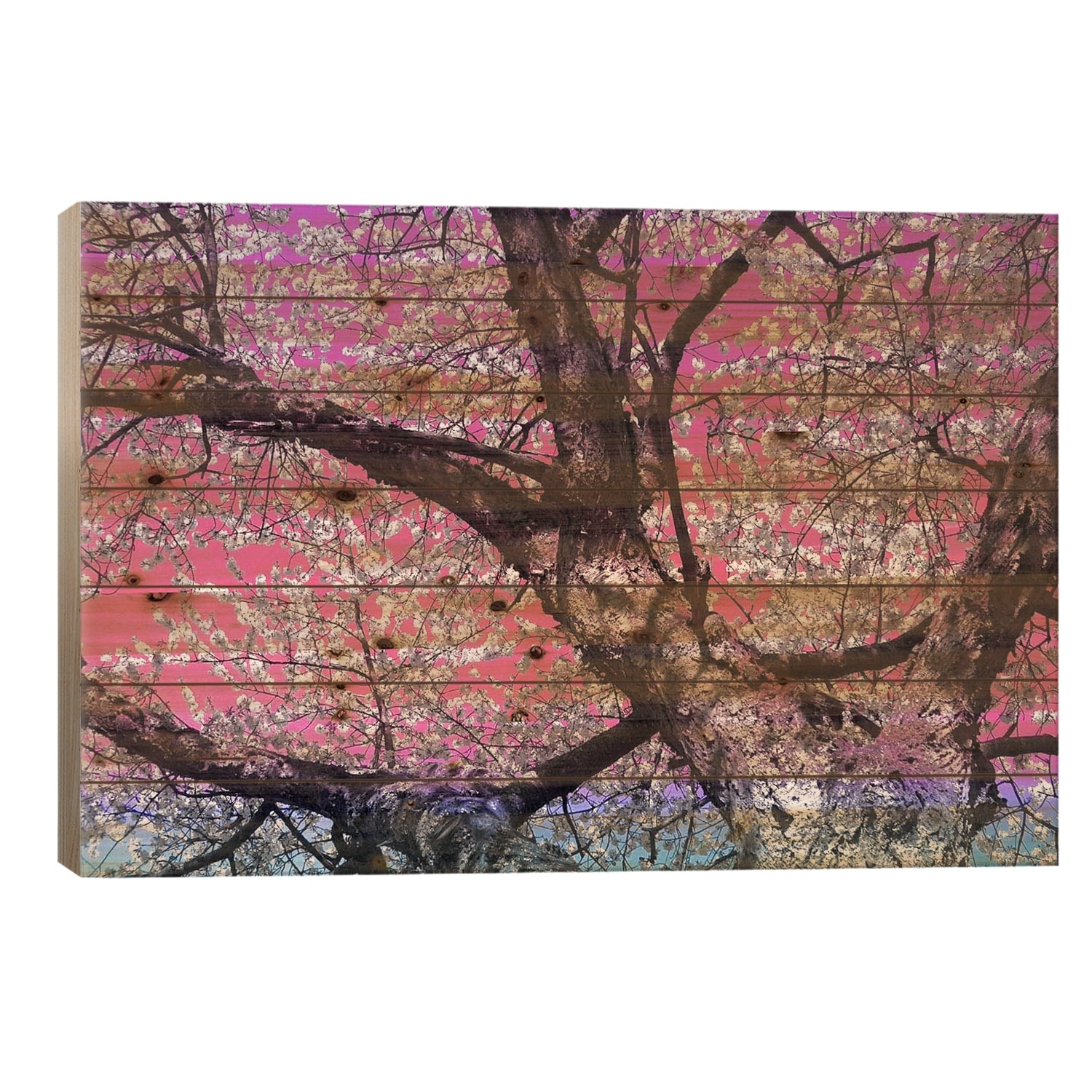 Under the Almond Blossom Tree Print On Wood by 5by5collective - Multi-Color