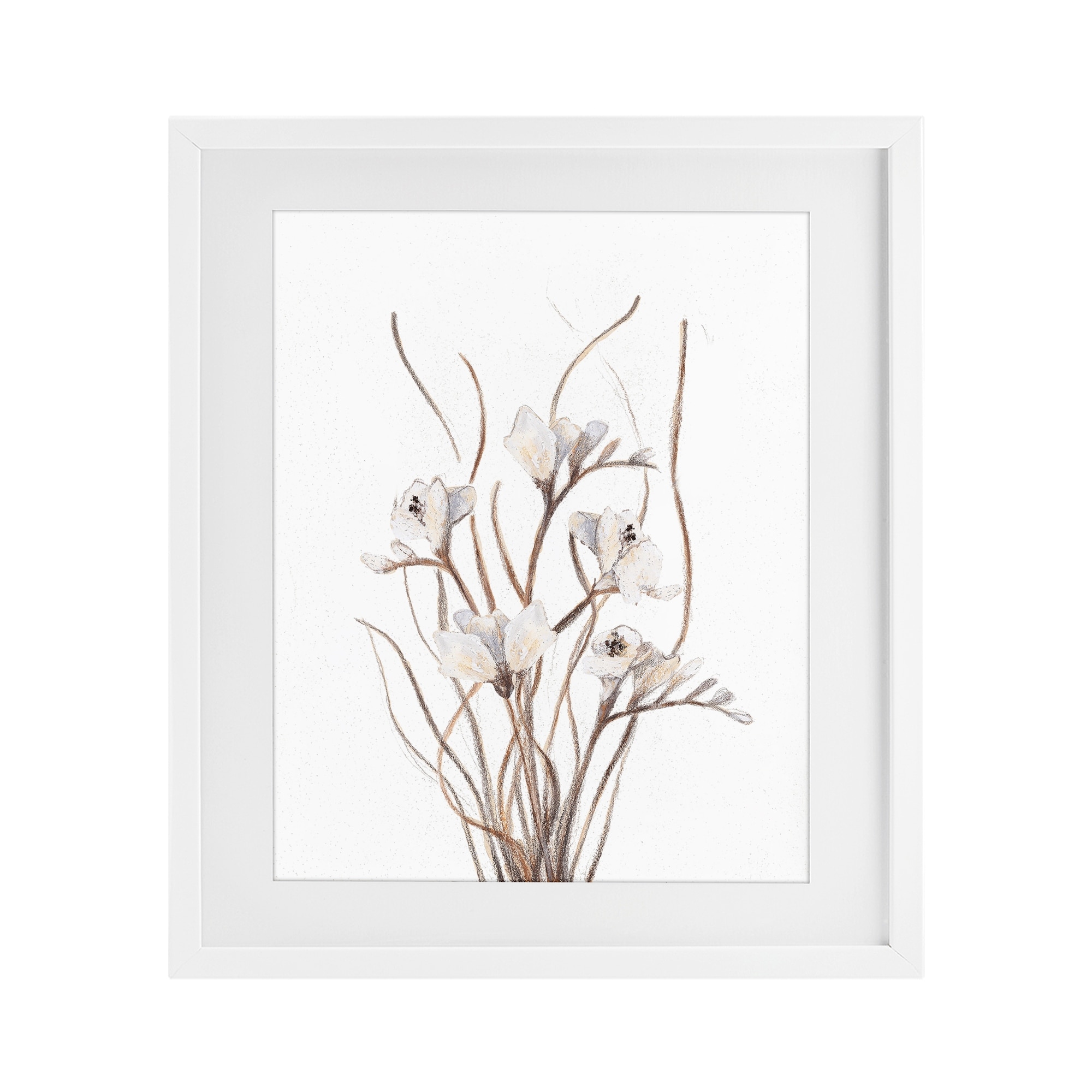 Stupell Curly Branches on White Under Glass Framed Design By Lanie Loreth