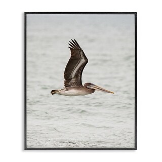 Stupell Pelican Over Sea Framed Giclee Art Design By Crystal Lynn ...